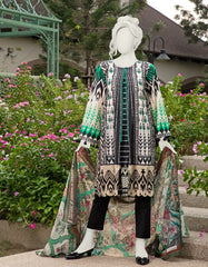 jlawn-s-19-219-aztec-lw3