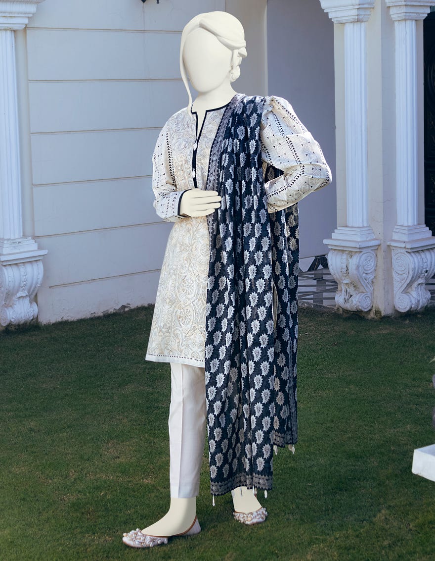 JLAWN-S-22-096 Kashmiri Kari