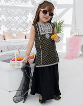JIK-S-JGKL-22-1569 FB/IES-22-003