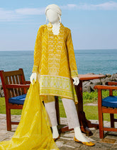 JLAWN-S-22-172 Mughal Archives