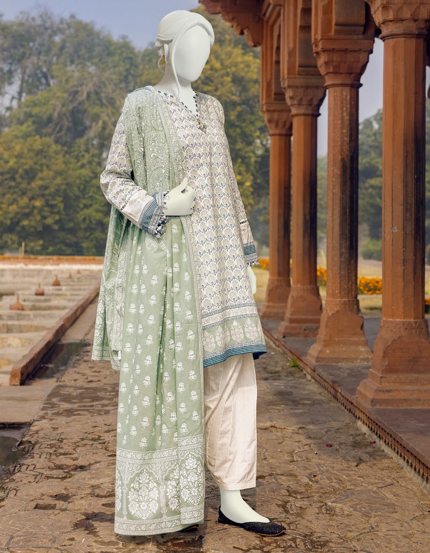 JLAWN-S-22-252 Achilles