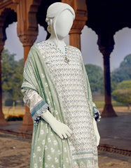 JLAWN-S-22-252 Achilles