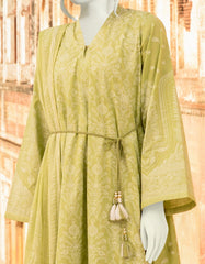 JLAWN-S-22-277 Pirovz