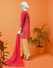 JLAWN-S-22-422 Kamdani