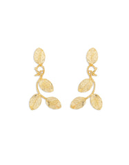 multicolor-earrings-arer26016