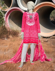 PINK LAWN EMBROIDERED 2PC STITCHED | JLAWN-S-JDS-25-1004