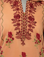 peach-embroidered-stitched-2pc-jds261269s
