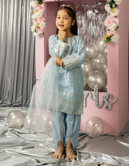 BLUE LAWN FOIL PRINTED 3PC STITCHED