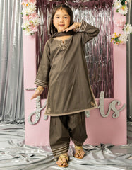 BROWN LAWN EMBROIDERED 3PC STITCHED