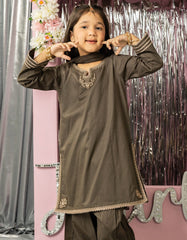 BROWN LAWN EMBROIDERED 3PC STITCHED