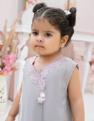 GREY SILK EMBROIDERED 2PC STITCHED