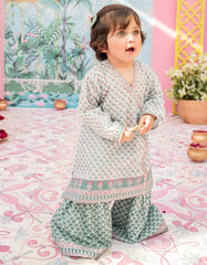 JGKL-S-JK2-24-5621 FB/RANI-I-B-01