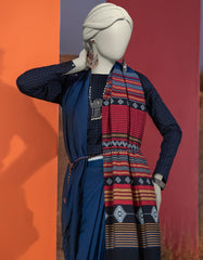 MULTICOLOR HANDWOVEN DYED SAREE | JSR-S-25-503