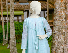 JLAWN-S-22-052 Aster