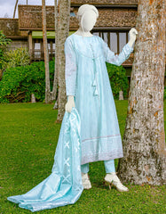 JLAWN-S-22-052 Aster