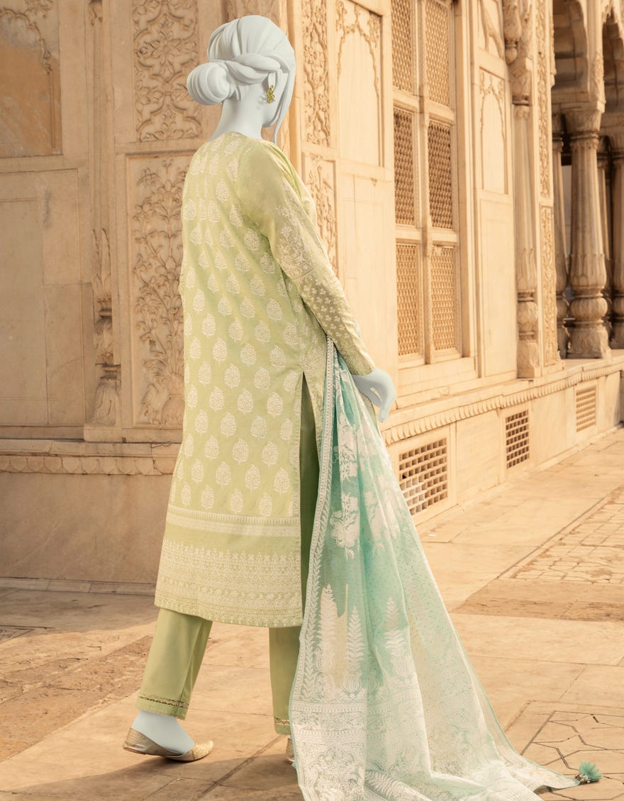 JLAWN-S-22-329 Elhor
