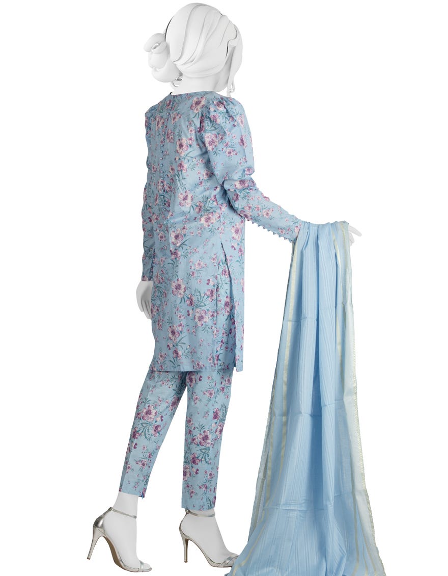 JLAWN-S-22-349 Alani