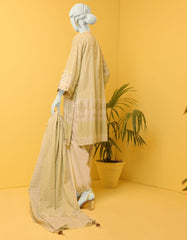 JLAWN-S-22-420 Omid