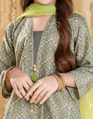 GREY LAWN PRINTED 3PC | JGKL-S-JGP-25-1525