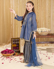 BLUE DOBBY EMBROIDERED 3PC | JGKL-S-JGP-25-1534