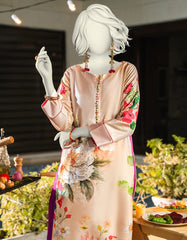 BEIGE SILK EMBROIDERED 2PC STITCHED
