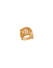 multicolor-ring-arrn26003