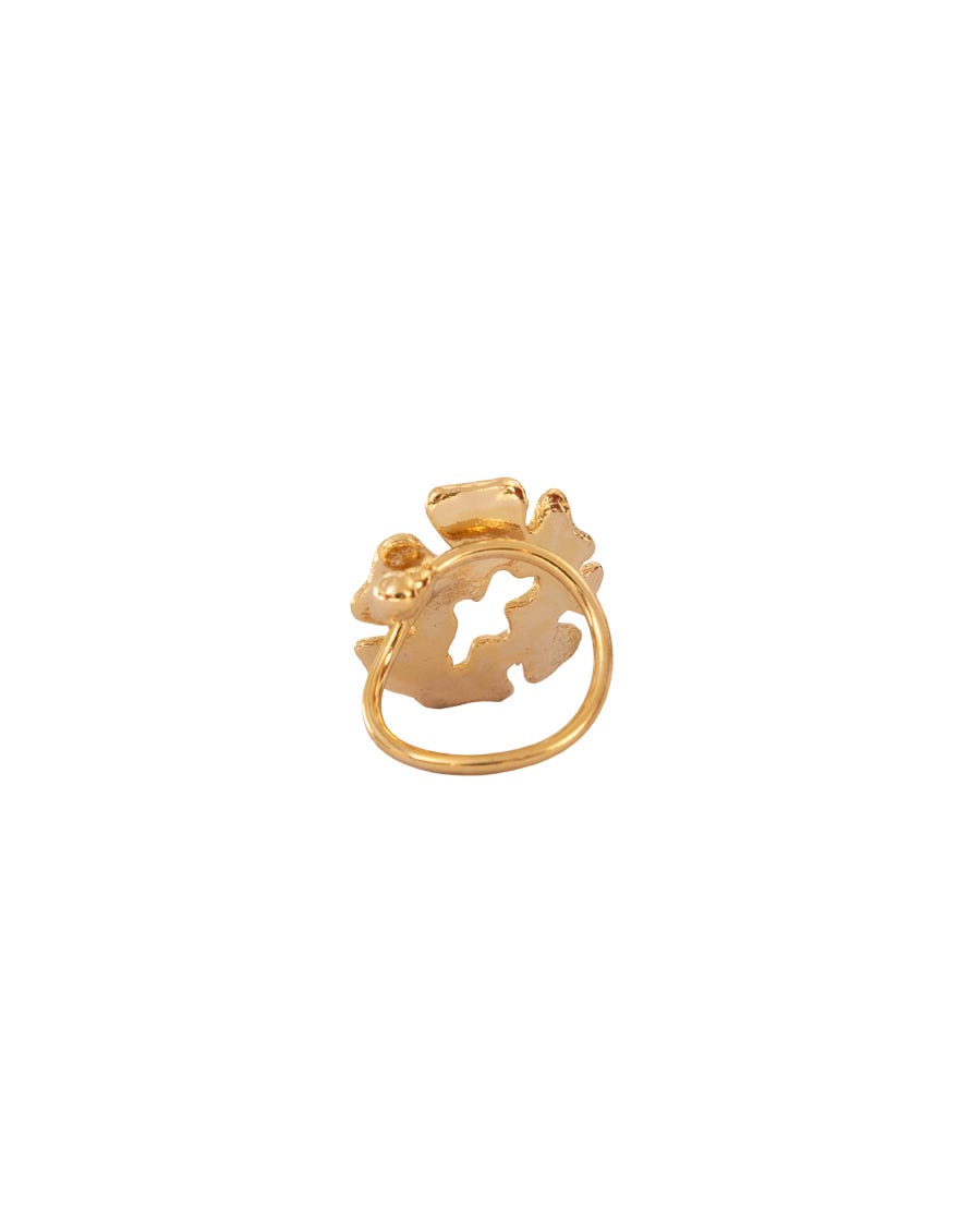 multicolor-ring-arrn26007
