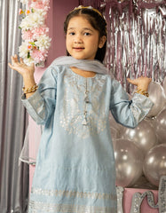 BLUE LAWN FOIL PRINTED 3PC STITCHED