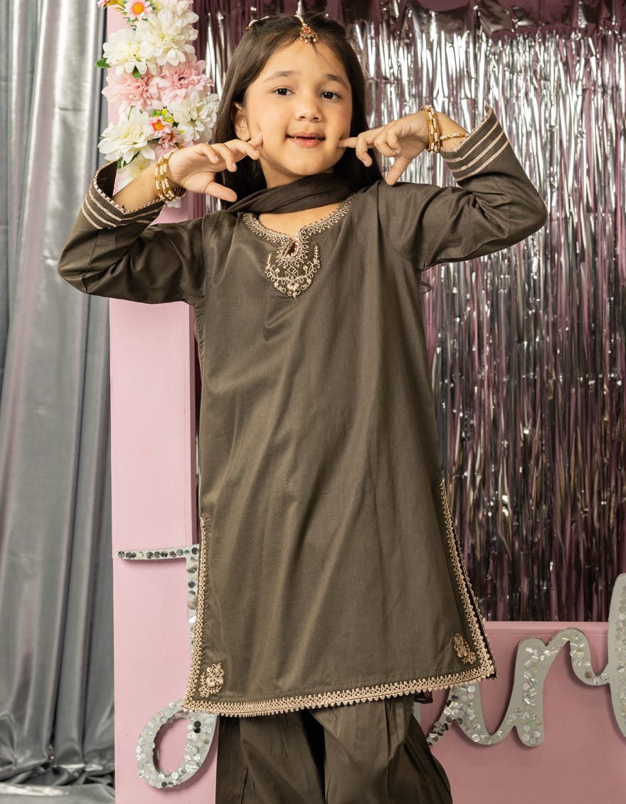 BROWN LAWN EMBROIDERED 3PC STITCHED