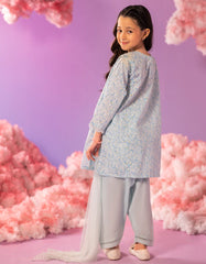 BLUE LAWN EMBOSSED 3PC STITCHED