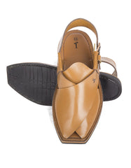 jjfw-jpc-11228-s19-ni-pln