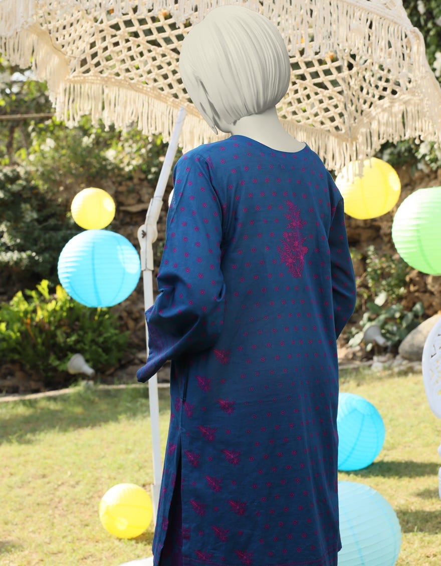 BLUE ORGANZA EMBROIDERED 2PC | JGK-S-JTST-25-406
