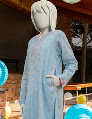 BLUE TEXTURED EMBROIDERED 2PC | JGK-S-JTST-25-407