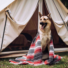 13' Avalon Bell Tent