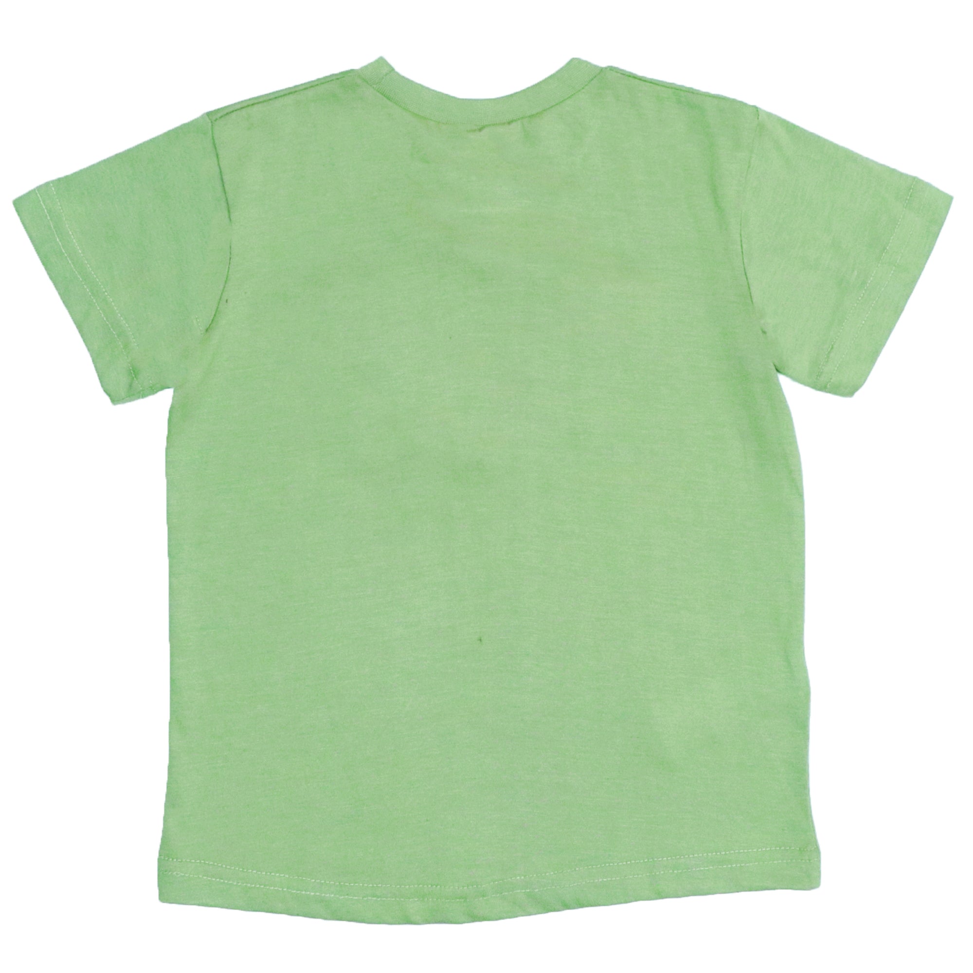 BOYS T- SHIRT POTES-SHEEN GREEN