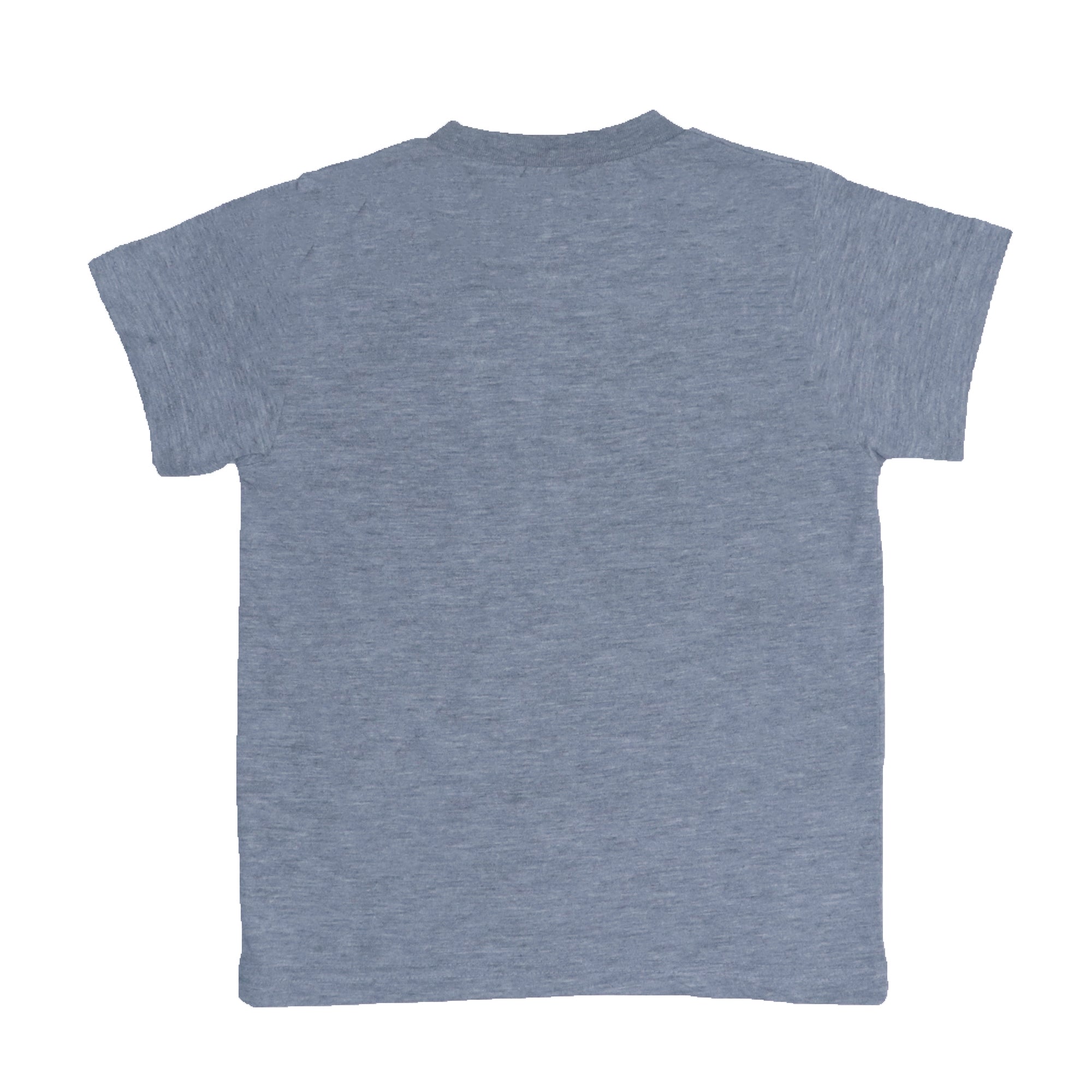 BOYS T- SHIRT FIRE TRUCK-GREY