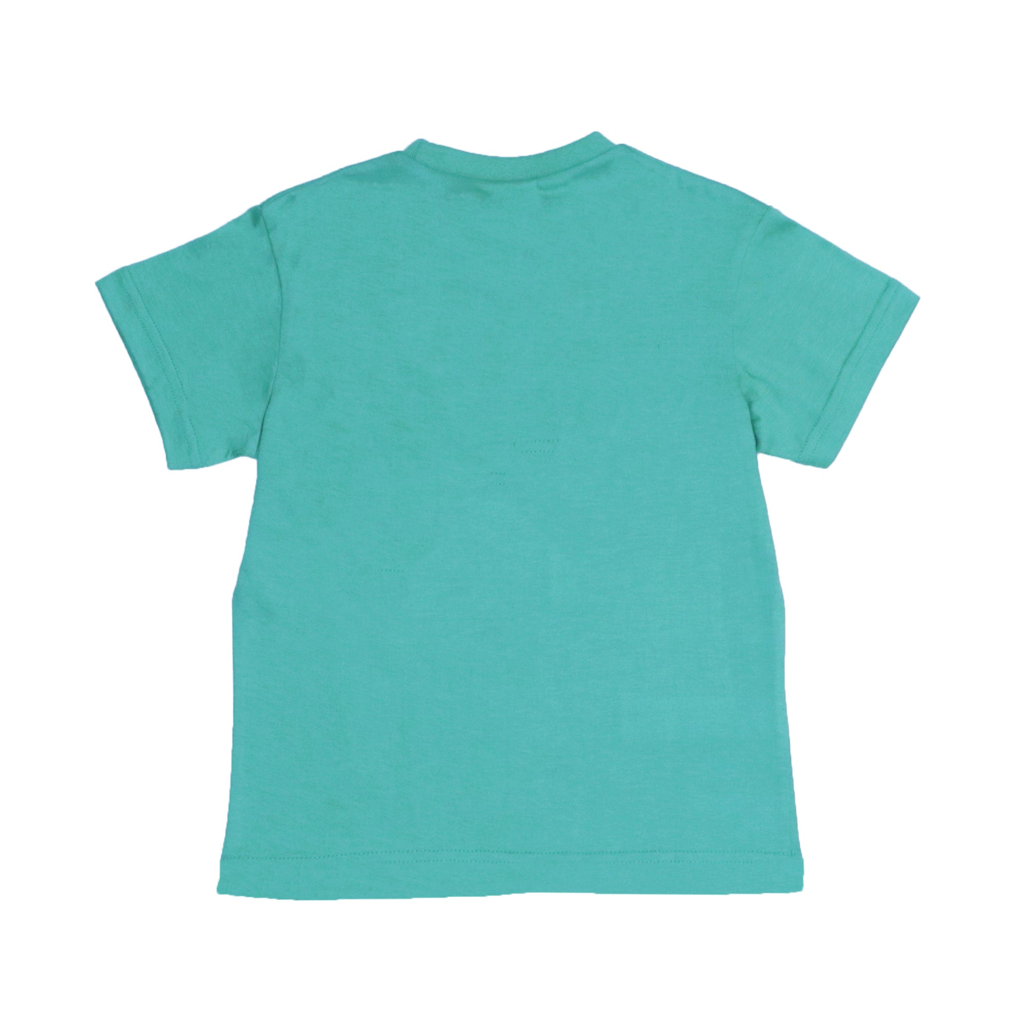 BOYS T- SHIRT SUMMER-DULL GREEN