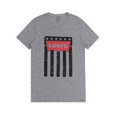 ROUND NECK (MEN)- VINTAGE FLAG (GREY)