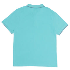 POLO (MEN) - MINT GREEN WITH GREY COLLAR STRIPS