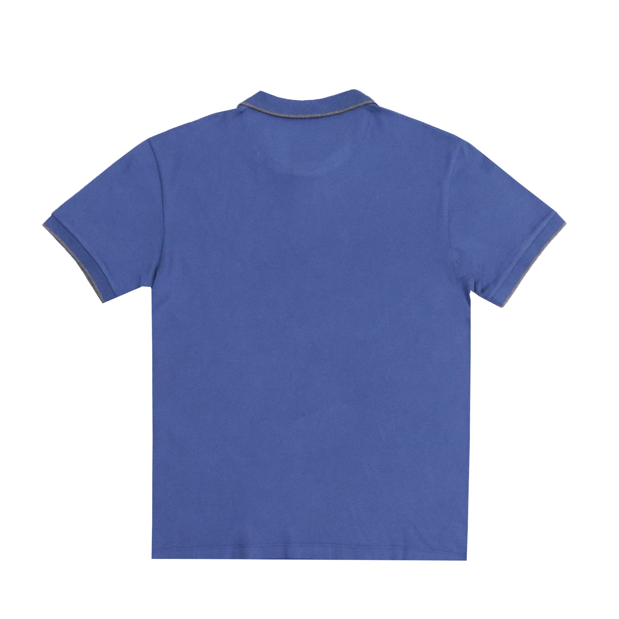 POLO (MEN) -  EASTERN BLUE WITH GREY STRIP COLLAR