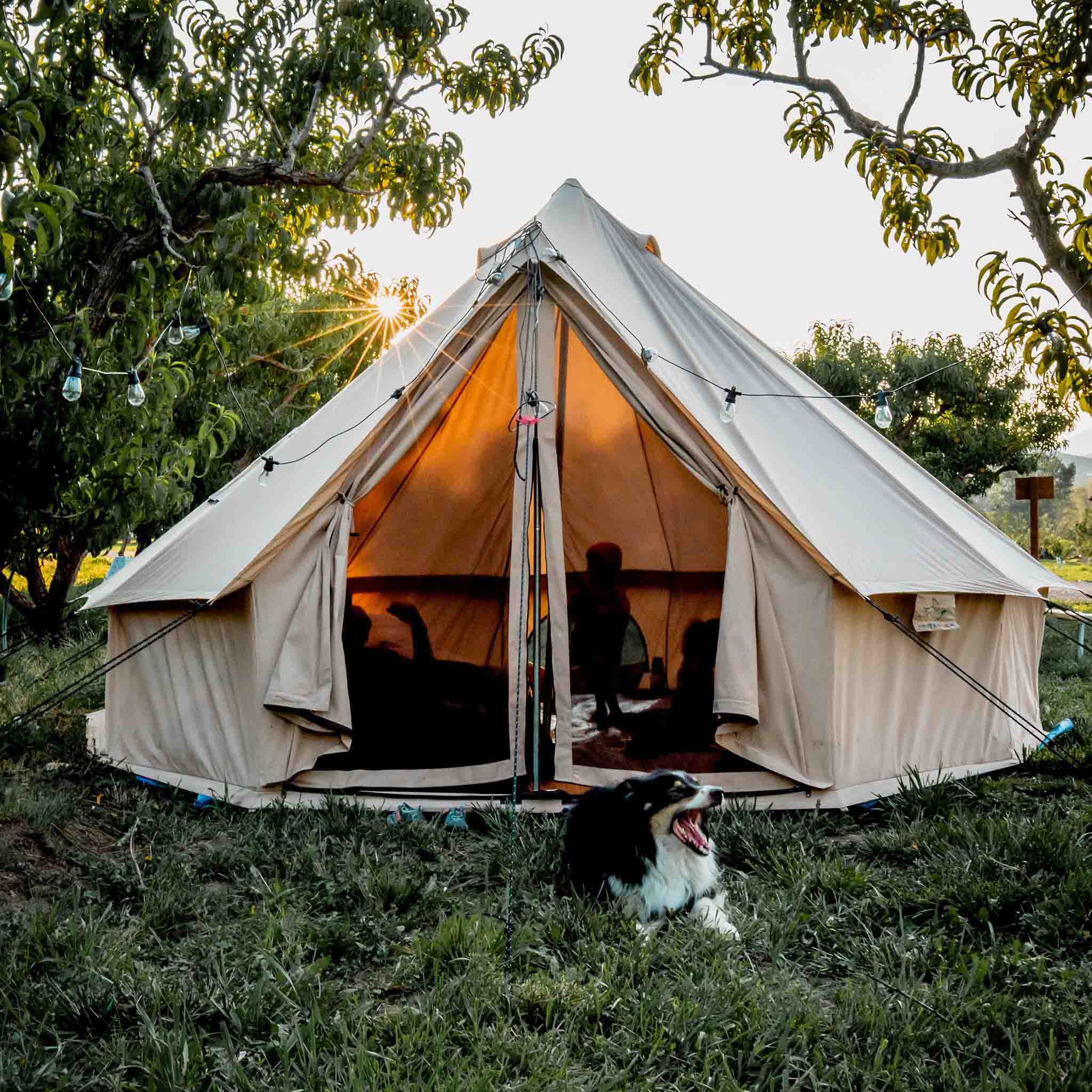 13' Regatta Bell Tent