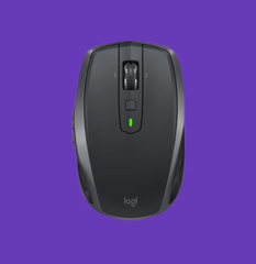 computer Mouse